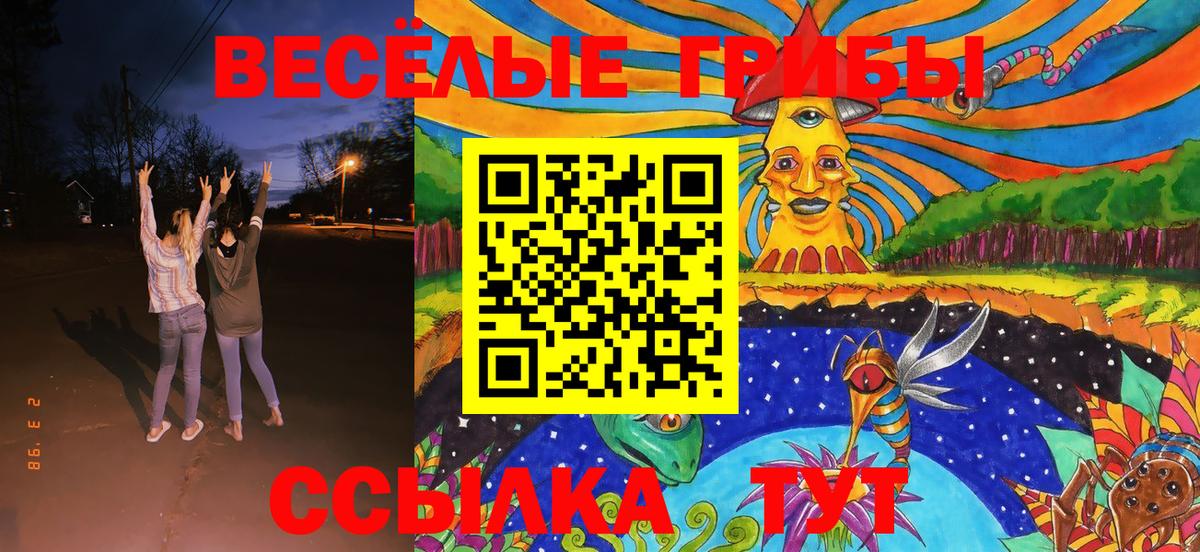 Галлюциногенные грибы мицелий  Вход с VPN  Ревда 